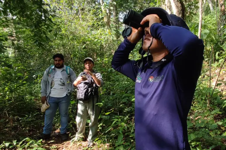 Equipo de ReMOLap realizando observación en campo.